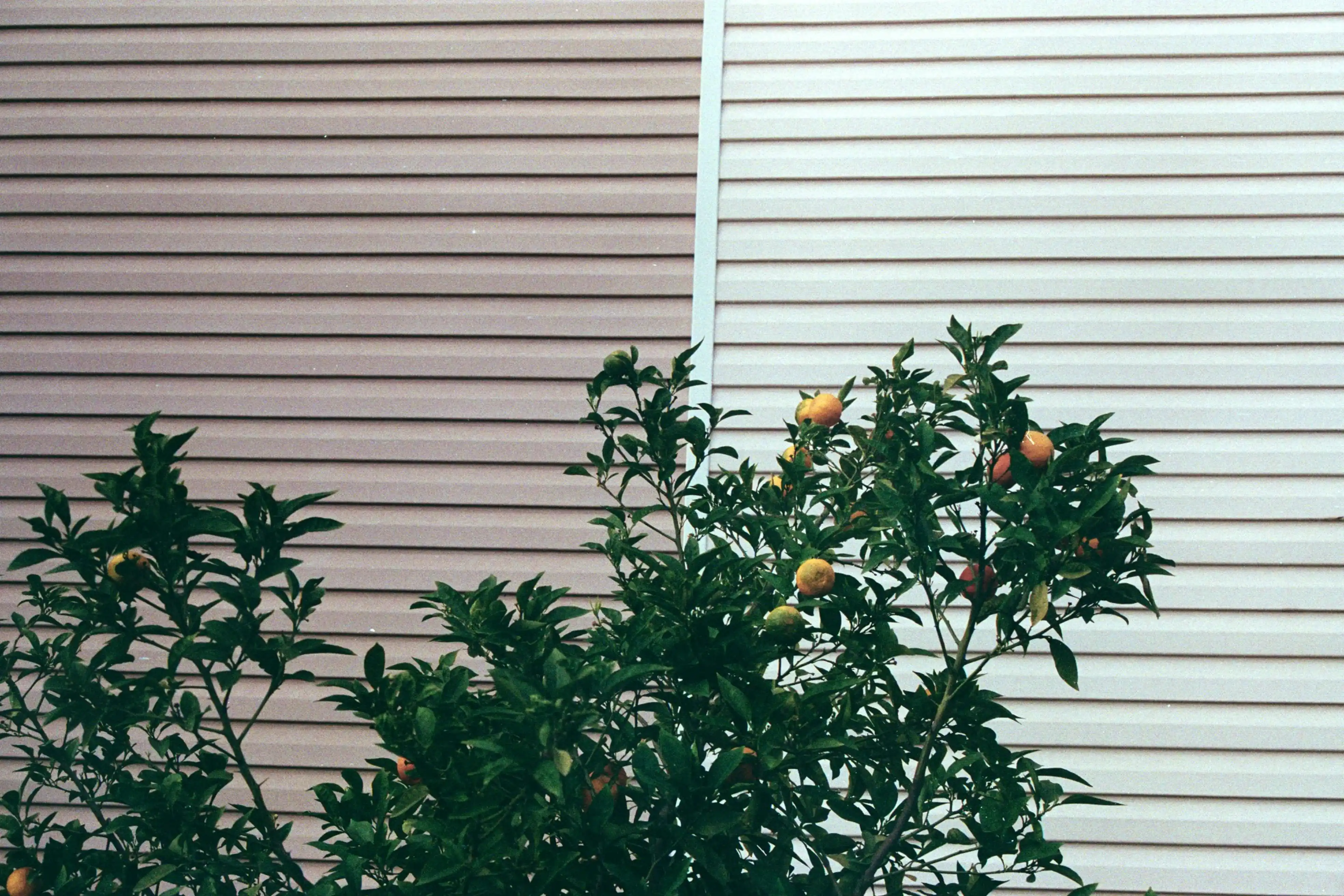 Arab, Guntersville, Cullman Alabama