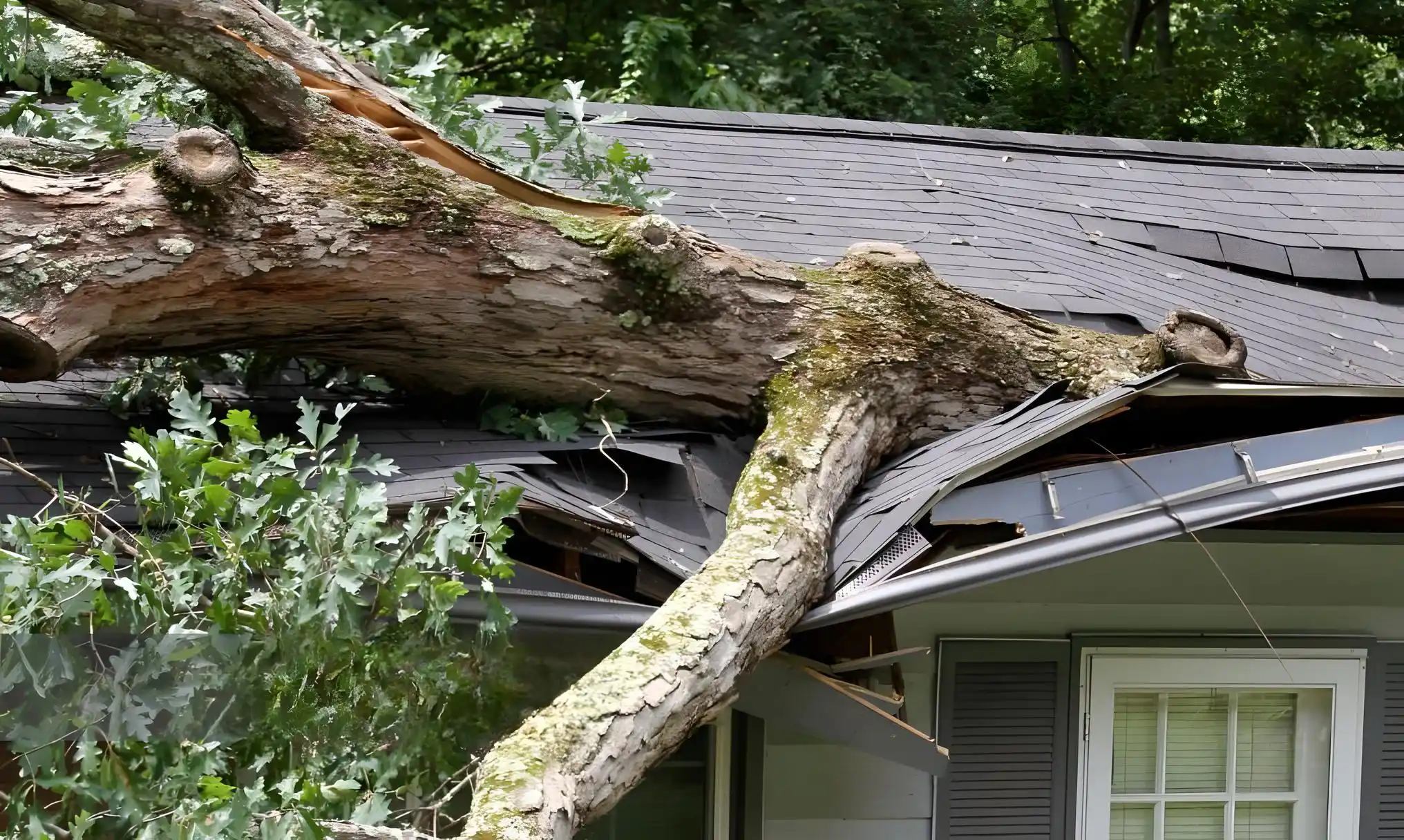 Arab Cullman Huntsville